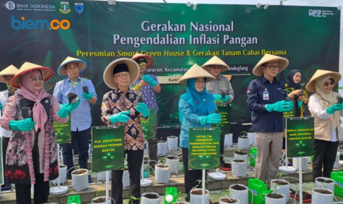 Ketua TP PKK Provinsi Banten Tinawati Andra Soni: PKK Provinsi Banten Galakkan Ibu Rumah Tangga Memaksimalkan Pekarangan Rumah