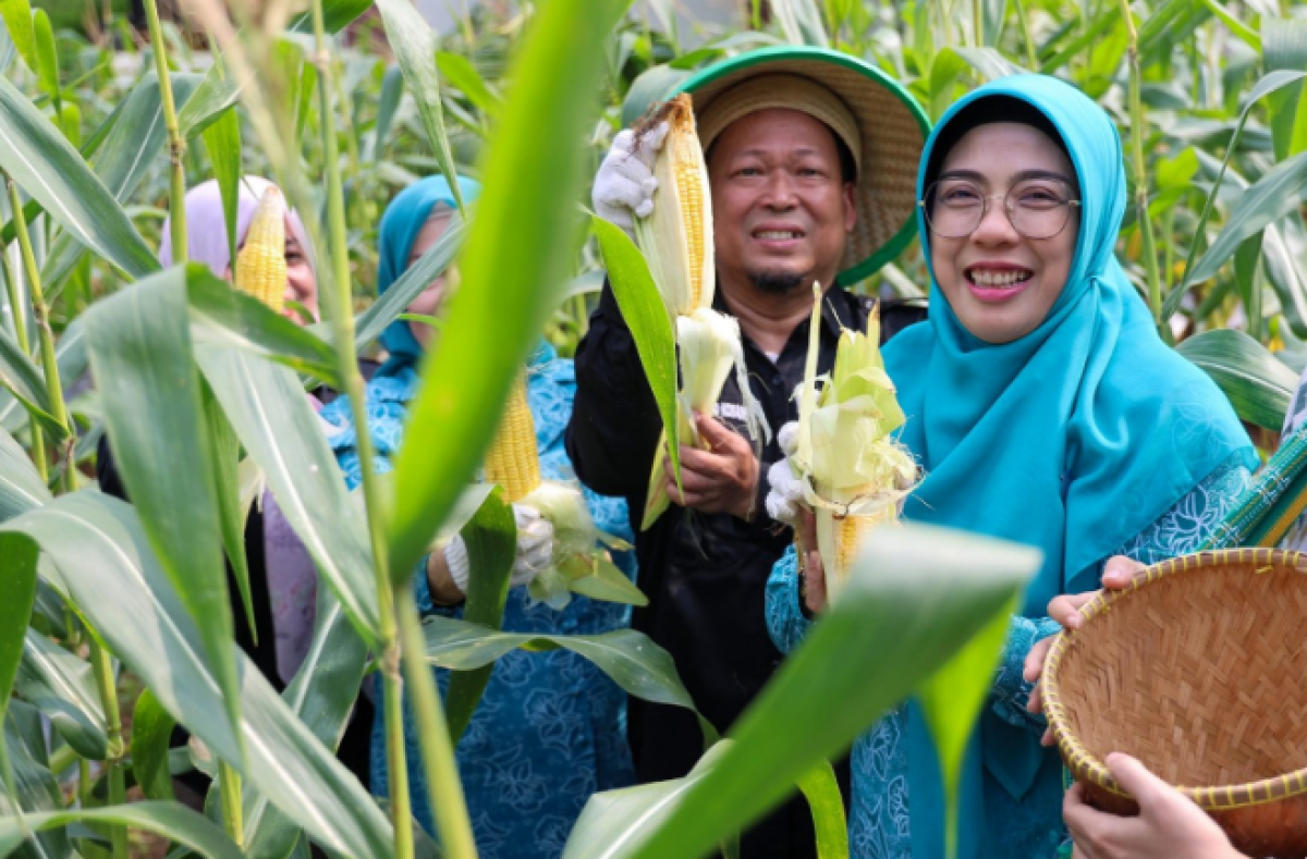 Ketua TP PKK Banten Ajak Keluarga Tanam Pangan di Pekarangan, Dukung Swasembada