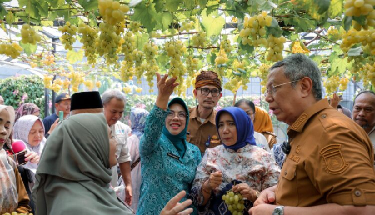 Ketua TP PKK Banten Ikuti Panen Anggur Ponjay Bendav Di Kota Tangerang Selatan