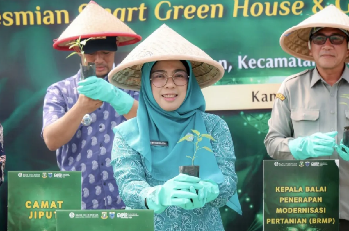 TP PKK Banten dorong pemanfaatan pekarangan rumah untuk tanam cabai
